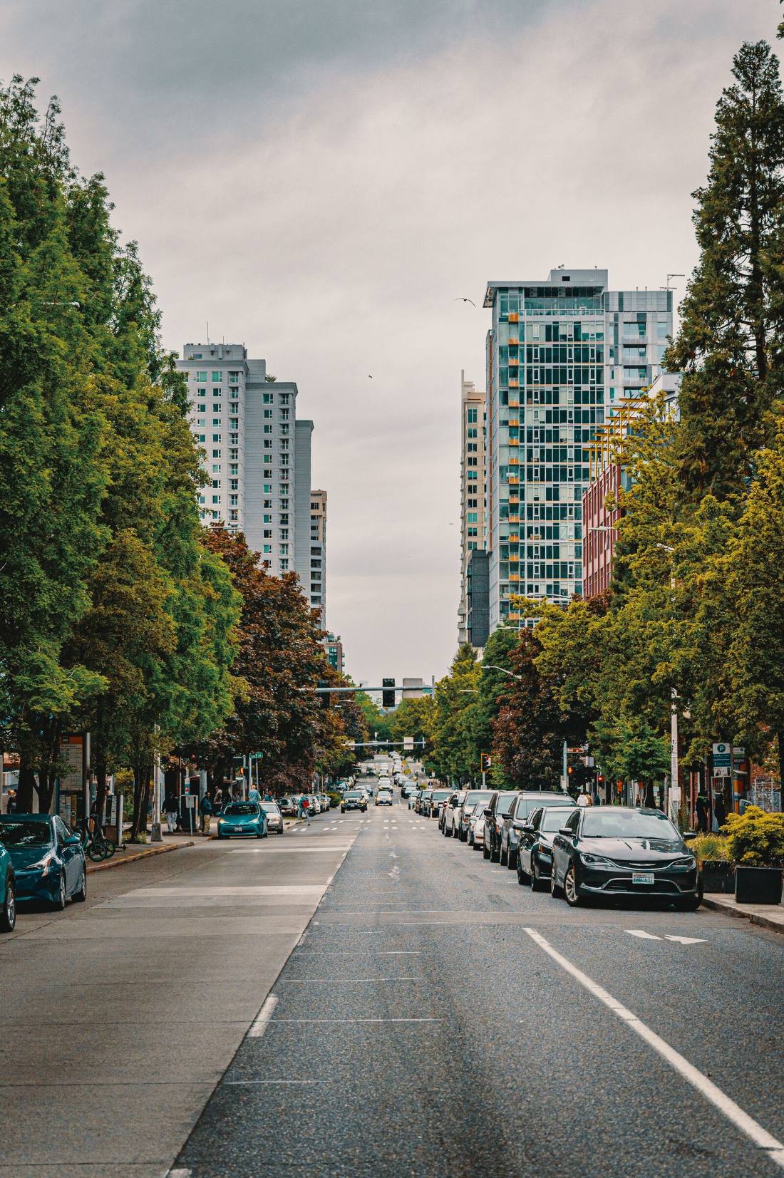 Tree-lined city street with residential towers